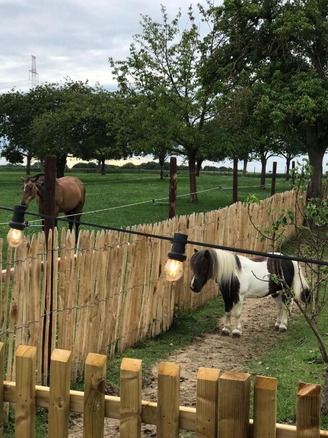 Tussen De Paarden @ De Hoeveschuur Riemst Exterior foto